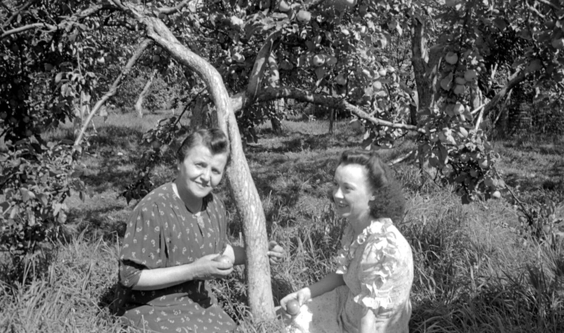 Marie-Alice Dumont et Rosalie Bergeron assise au pied d'un pommier dans un verger.