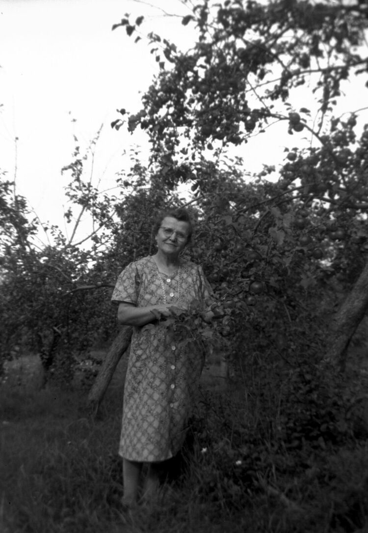 Marie-Alice Dumont debout dans un verger montrant fièrement les fruits sur une branche d'un pommier.