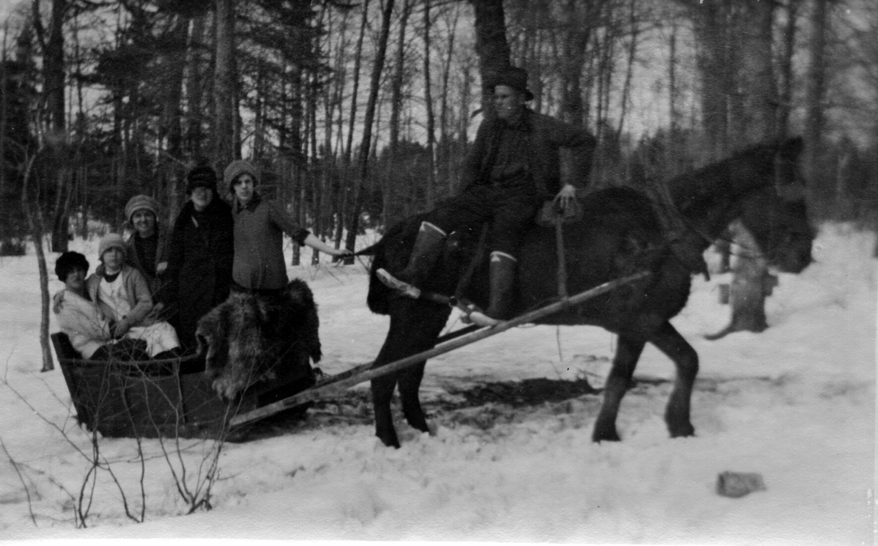 Cinq personnes dont Marie-Alice Dumont dans un traîneau tiré par un cheval sur lequel un homme est assis.