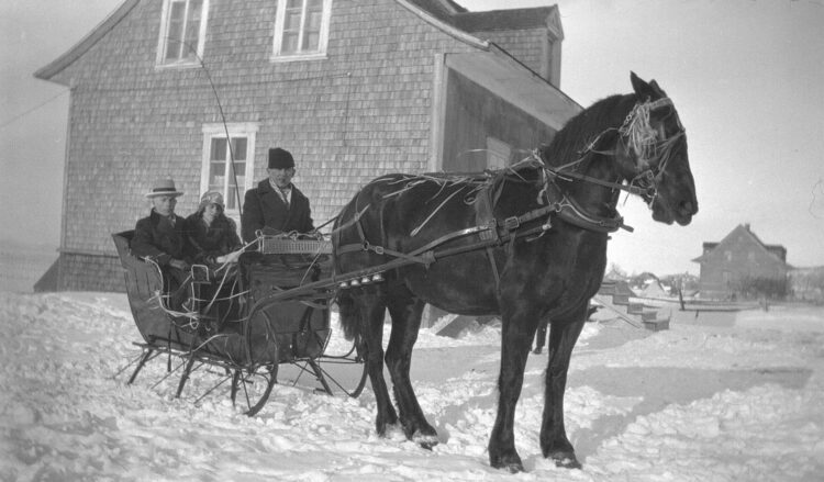 Couple de jeunes mariés et un cocher dans un traîneau tiré par un cheval.