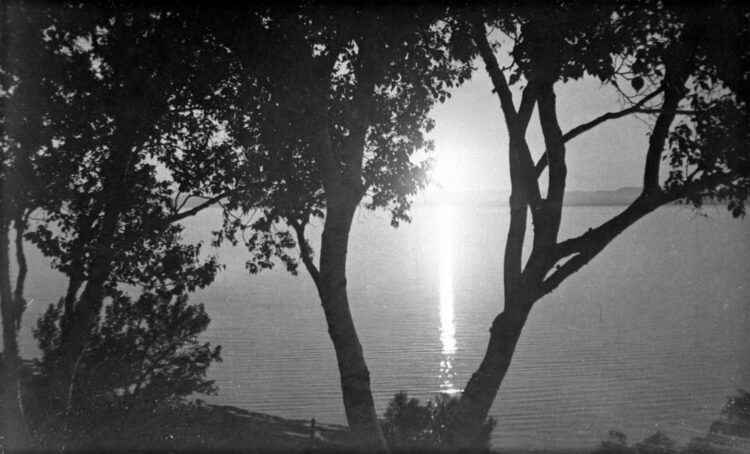 Coucher de soleil sur une grande étendue d'eau très calme avec quelques arbres en avant-plan.