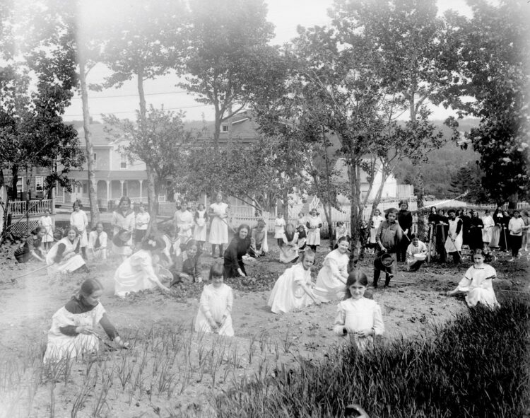 Groupe très nombreux de couventines affairées à l'entretien d'un grand jardin.