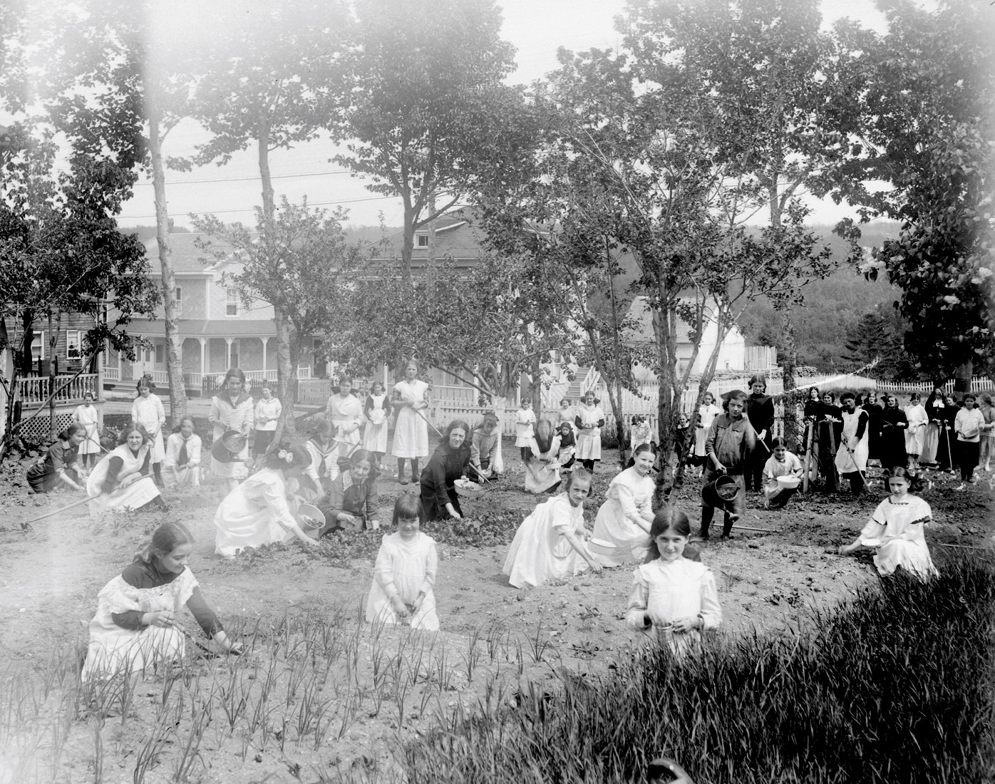 Groupe très nombreux de couventines affairées à l'entretien d'un grand jardin.